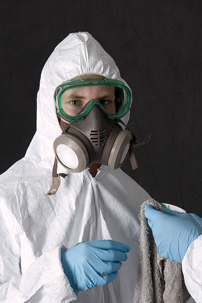 Best Mold Removal for HVAC Installations  in Muldrow, OK